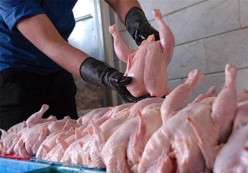 یوسفی در گفت و گو با خبرنگاران: خبری از تصویب نرخ جدید مرغ نیست، کاهش عرضه مرغ به بازار صحت ندارد