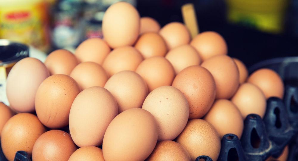 فواید خوردن تخم مرغ