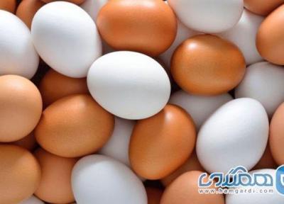 تخم مرغ کلسترول را افزایش می دهد؟