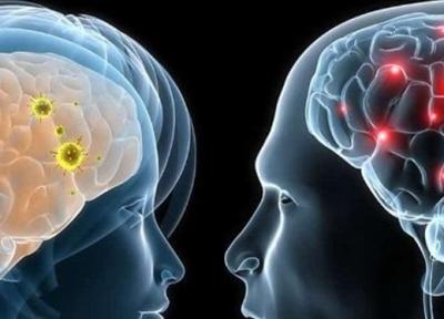 مغز مردان از زنان بزرگتر است، زنان از دو نیمکره استفاده می کنند