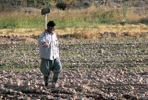 20 تا 30 درصد اراضی کشاورزی شرق اصفهان از آب زاینده رود بهره مند شد ، مرحله دوم آبیاری در نیمه اسفند یا فروردین